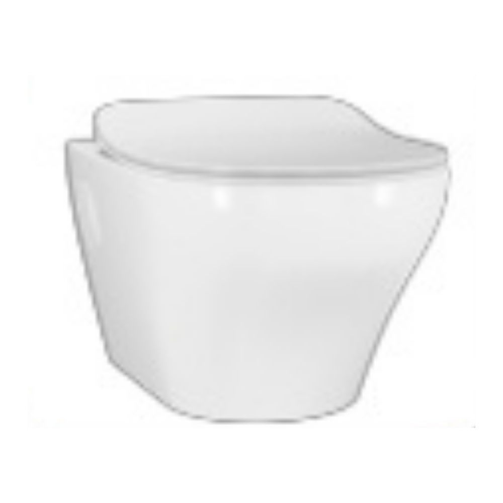 White Wall Mounted Toilet Bowl